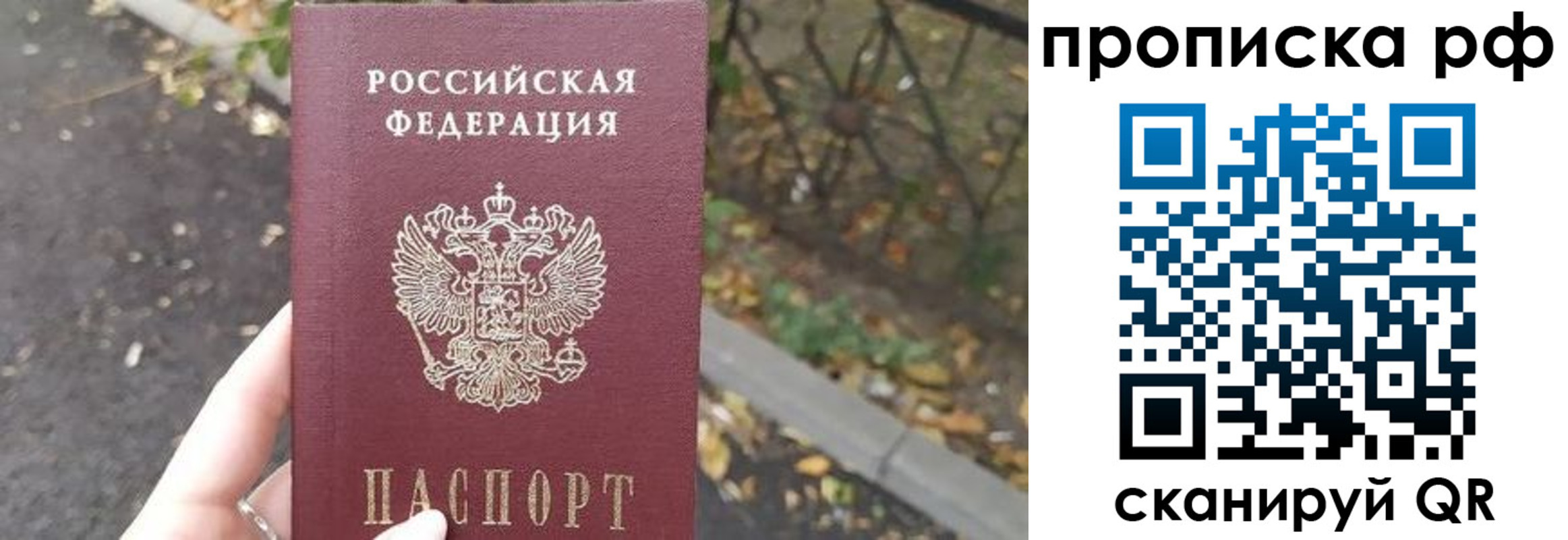 прописка штамп в Михайловке
